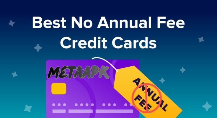 Best Credit Cards for Beginners with No Annual Fee